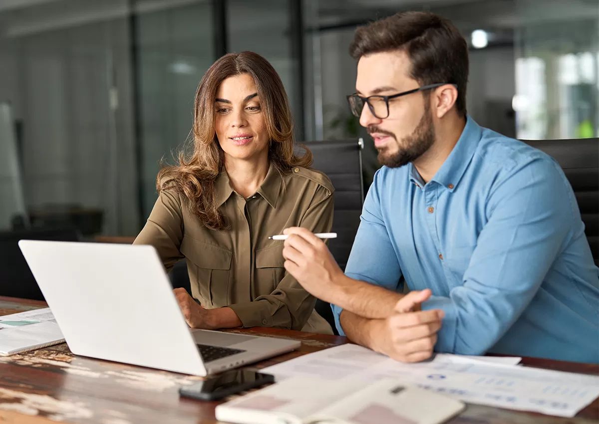 HCM HRIS Implementation Consulting